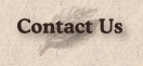 Contact Casa 325